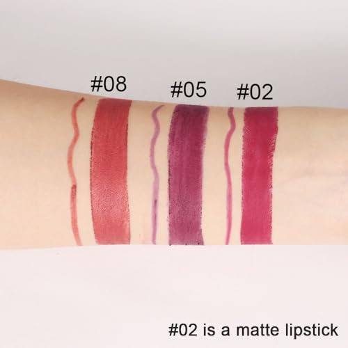 Kaely 2in1 Plum Red Lip Liner & Lipstick Set Kit for Women, DNM Matte Lips Kit with Lip Liner Lip Stains Long Lasting Waterproof 24 Hour Lipstick and Lip Liners Combo Lipliners Pencil Set 02