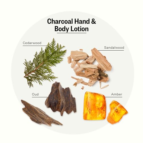 APOTHEKE Scented Hand & Body Lotion for Women & Men, Canvas (10 fl oz)