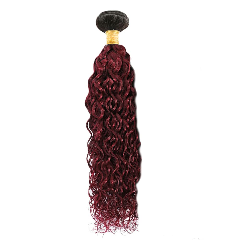 1b99j Bundles Human Hair Burgundy Kinky Curly Bundles Brazilian Two Tone Ombre Burgundy 12 Inch Black and Wine Red Hair Weave for Black Women 1b99j Kinky Curly Bundles Soft Real Hair