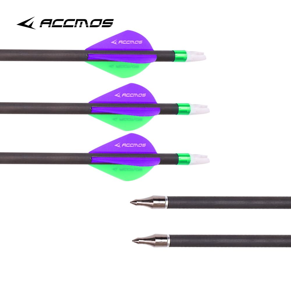 12pc 20-Inch Spine-300 Arrow Removable Tips Targeting Hunting Arrow Plastic Fletching 2 Inch Vane Carbon Arrows for Compound Bow Recurve Bow Adult Youth Archery Purple Green
