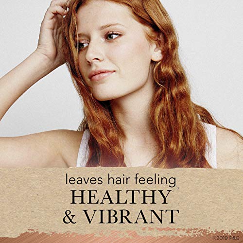 Hair Food Color Repair Concentrate, Repair Damage and Prevent Fade, Shea Butter and Pear, Paraben & Dye Free, Pack of 4, 0.5 Oz Each