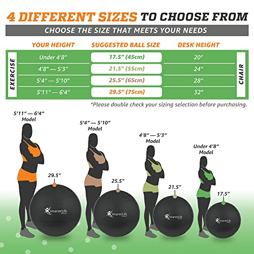 SmarterLife Workout Exercise Ball for Fitness, Yoga, Balance, Stability, or Birthing, Great as Yoga Ball Chair for Office or Exercise Gym Equipment for Home, Non-Slip Design (65 cm, Black)