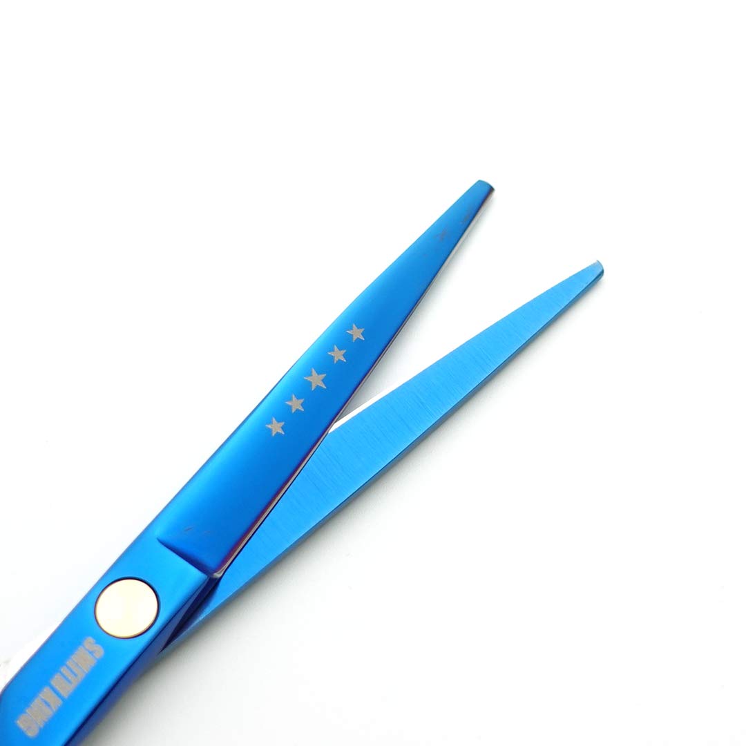 6.0 Inches Hair Cutting Scissors Set with Combs Lether Scissors Case,Hair cutting shears Hair Thinning shears For Personal and Professional (Blue)