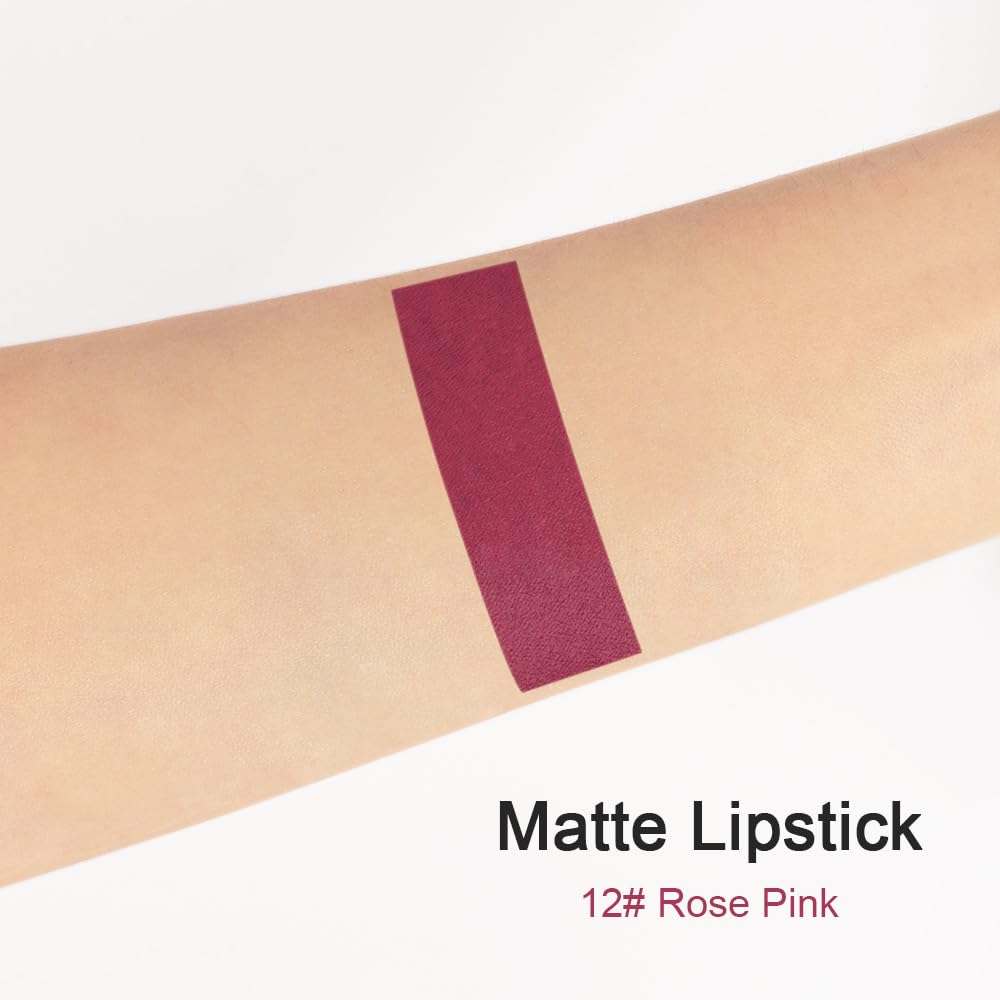 evpct DNM 1Pcs Wine Red Matte Lipstick and Lip Crayon Liner Pencil Pen Set for Women Lip Stain Long Lasting Waterproof labiales mate magicos 24 horas originales pintalabios permanente 24 horas 12