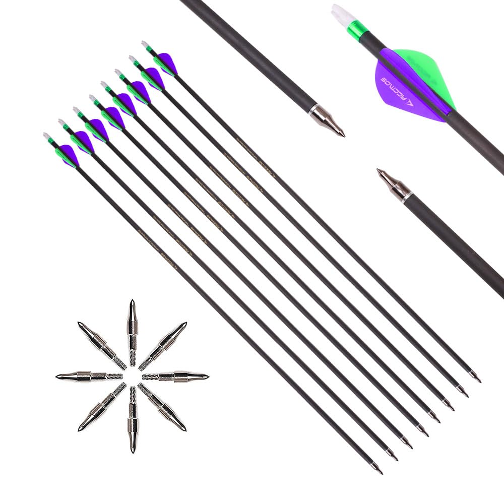 12pc 20-Inch Spine-300 Arrow Removable Tips Targeting Hunting Arrow Plastic Fletching 2 Inch Vane Carbon Arrows for Compound Bow Recurve Bow Adult Youth Archery Purple Green