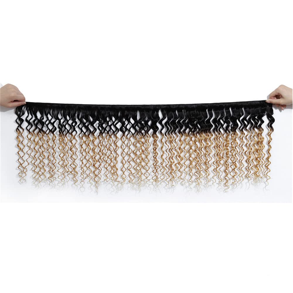 1b27 Water Wave Bundles Human Hair Ombre Human Hair Bundles 8 Inch Honey Blonde Wet and Wavy Hair Weave Brazilian Virgin Human Hair Blonde Water Wave Bundles