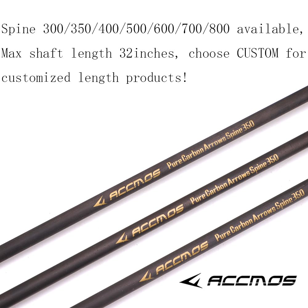 12pc 20-Inch Spine-300 Arrow Removable Tips Targeting Hunting Arrow Plastic Fletching 2 Inch Vane Carbon Arrows for Compound Bow Recurve Bow Adult Youth Archery Purple Green