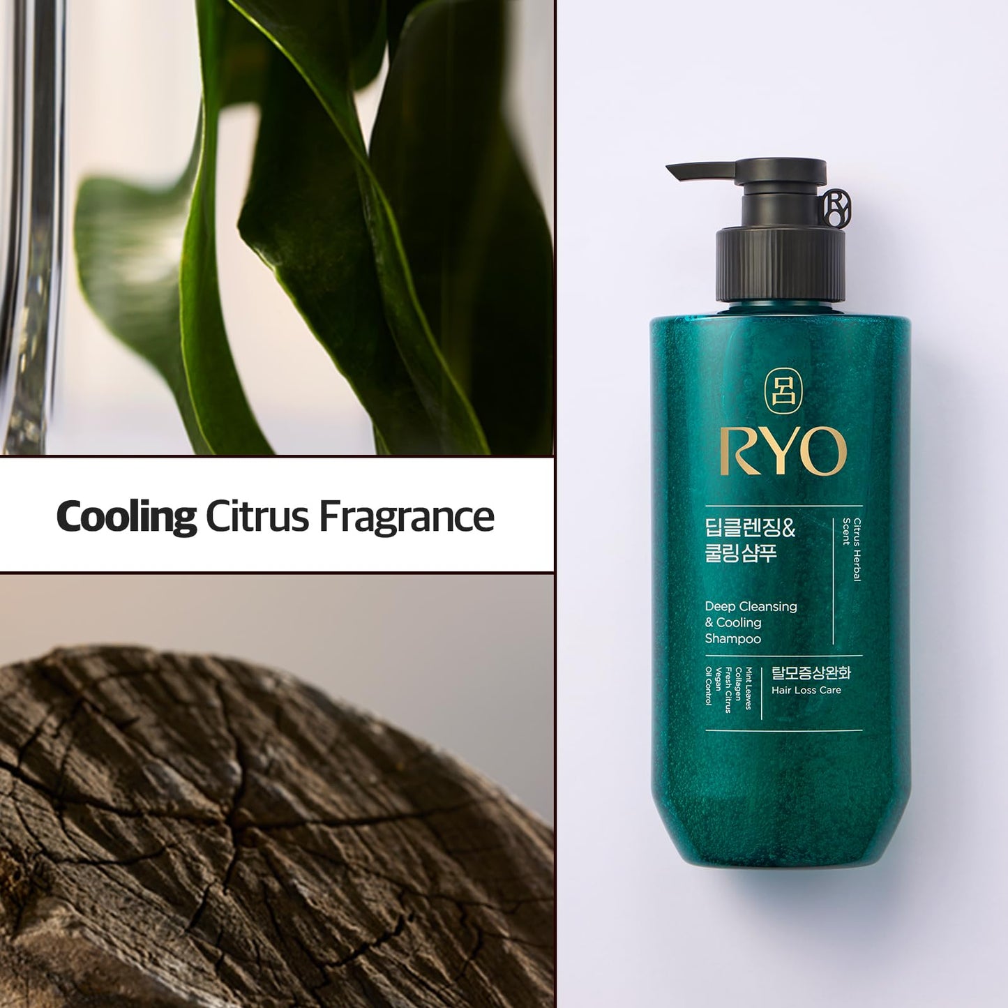 RYO Deep Cleansing Shampoo with Korean Ginseng & Caffeine - Cooling and Refreshing for Oily Scalp, Hair Loss Care, Anti-Dandruff, Sebum Control, 16.2 Fl Oz.