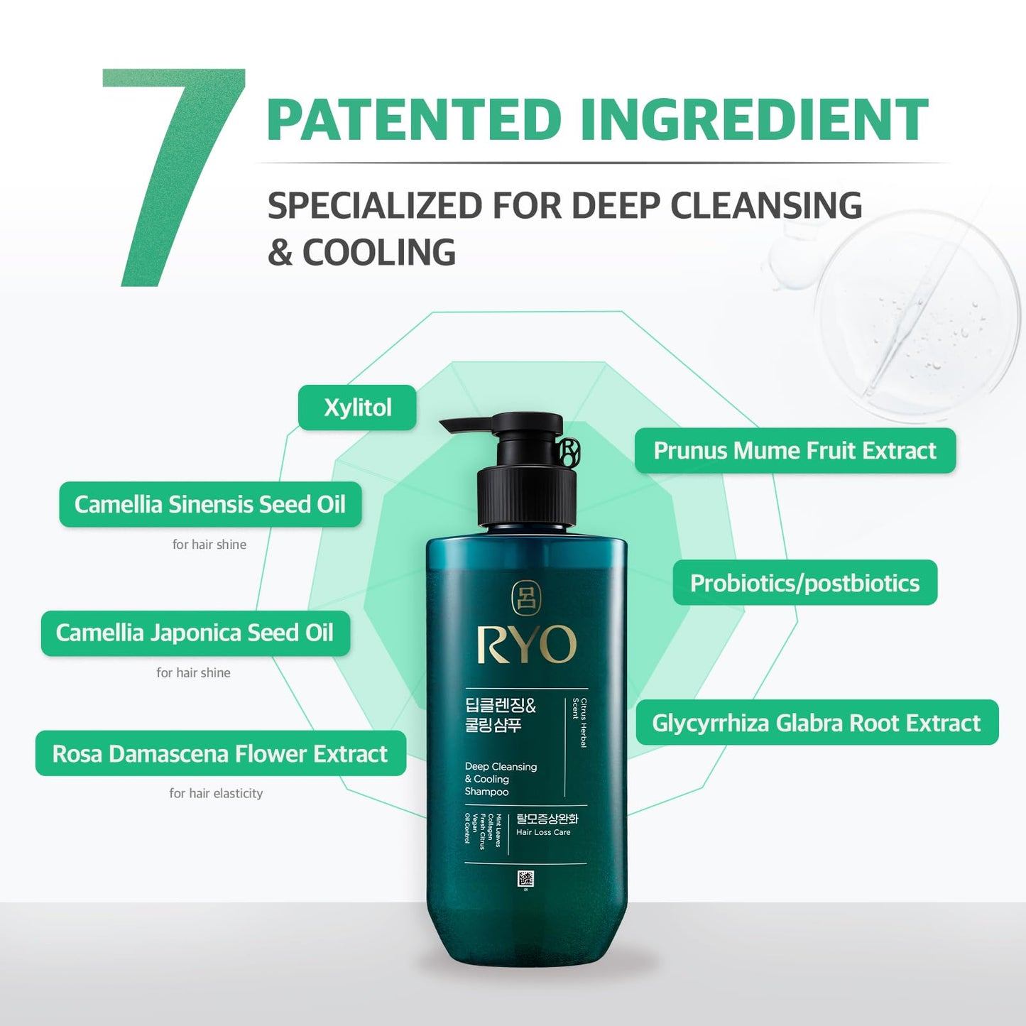 RYO Deep Cleansing Shampoo with Korean Ginseng & Caffeine - Cooling and Refreshing for Oily Scalp, Hair Loss Care, Anti-Dandruff, Sebum Control, 16.2 Fl Oz.