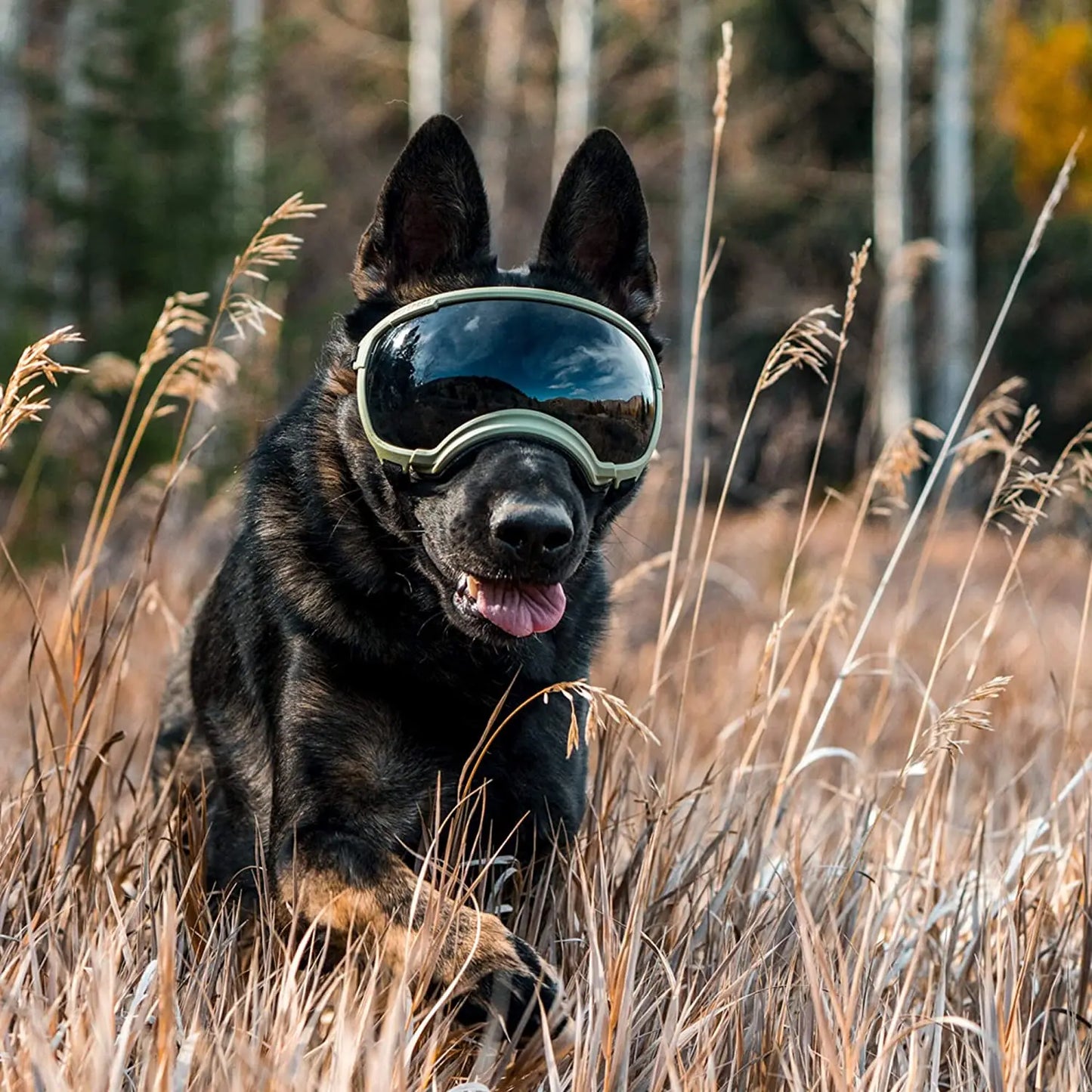 Adjustable Anti-UV Dog Goggles