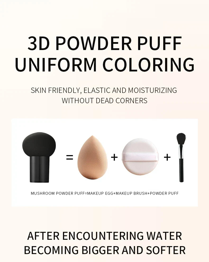 2PCS CC Cream Air Cushion
