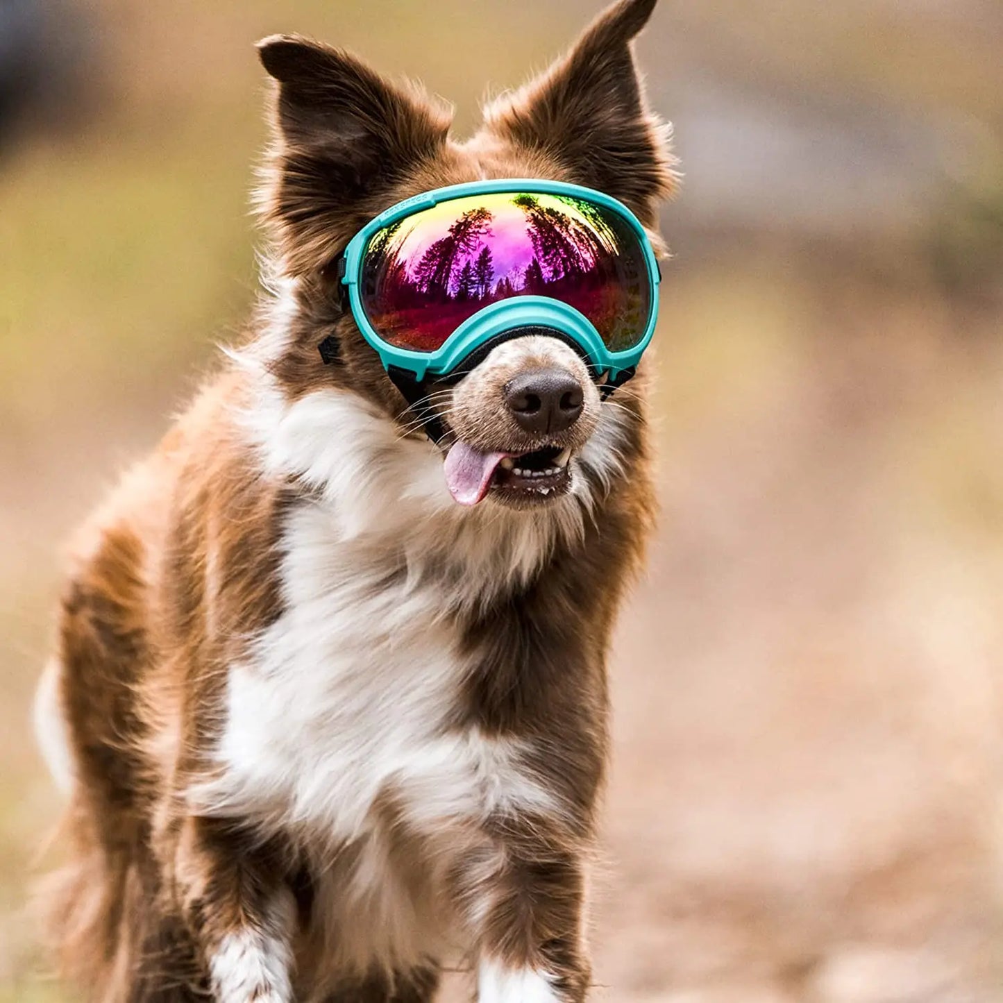 Adjustable Anti-UV Dog Goggles