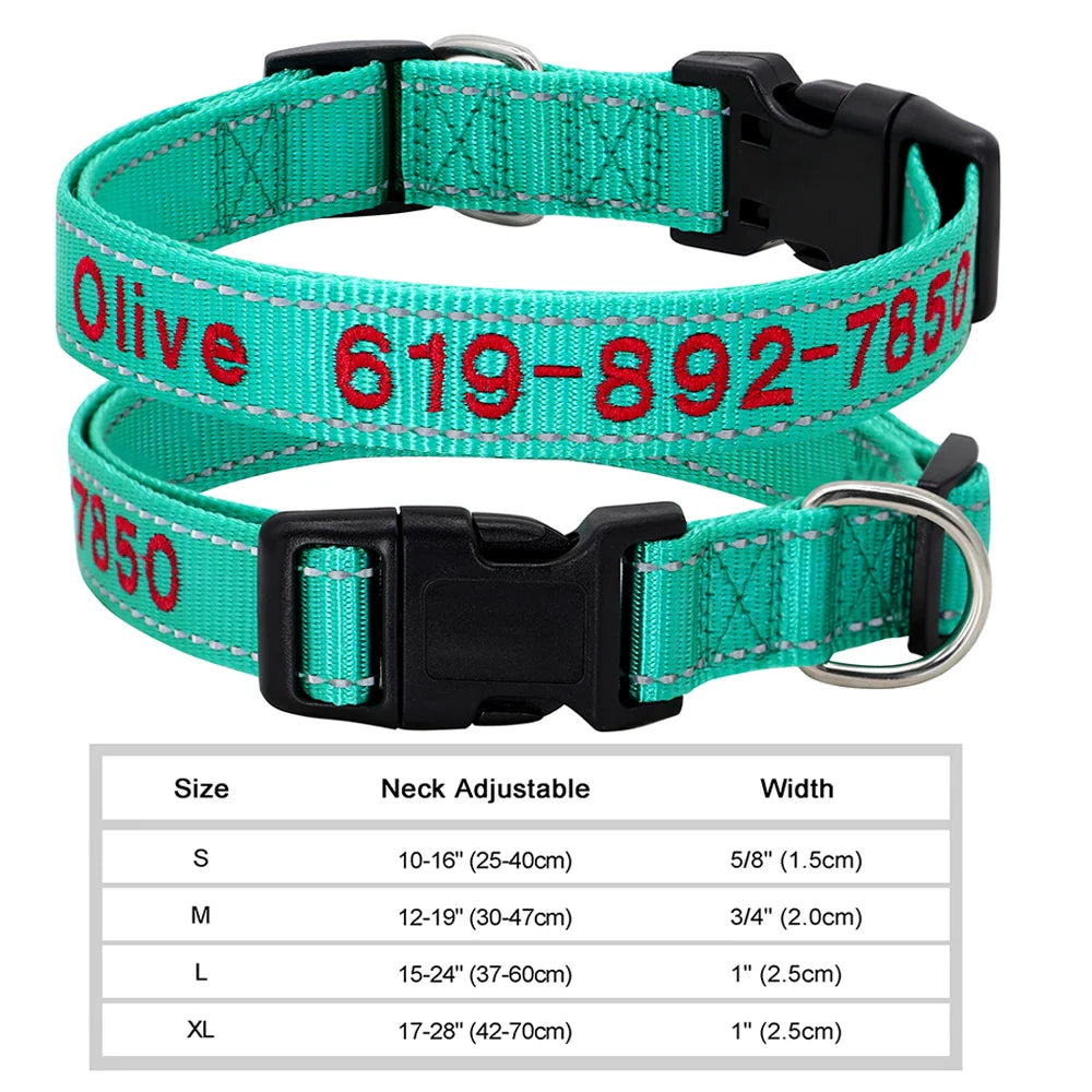 Adjustable Nylon Dog Collar with ID