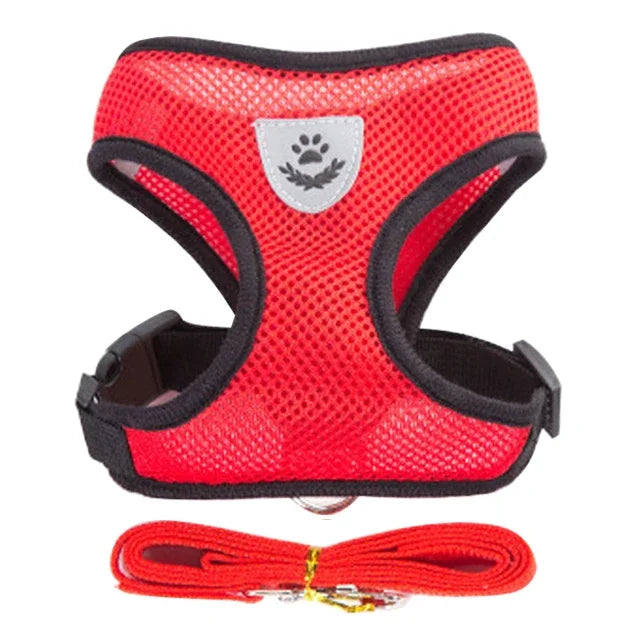Adjustable Mesh Dog Harness Leash Set