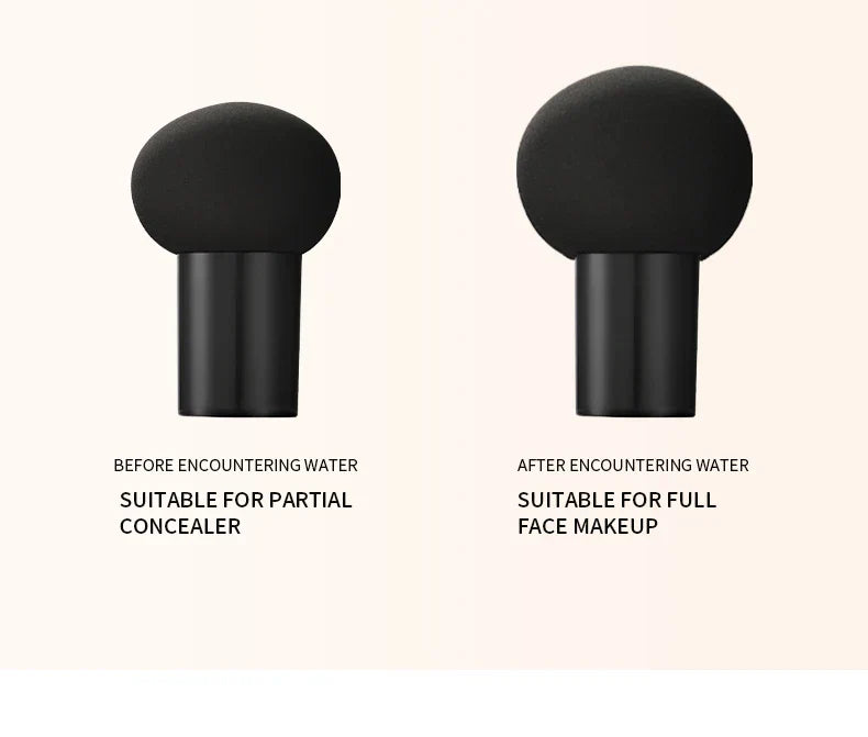 2PCS CC Cream Air Cushion