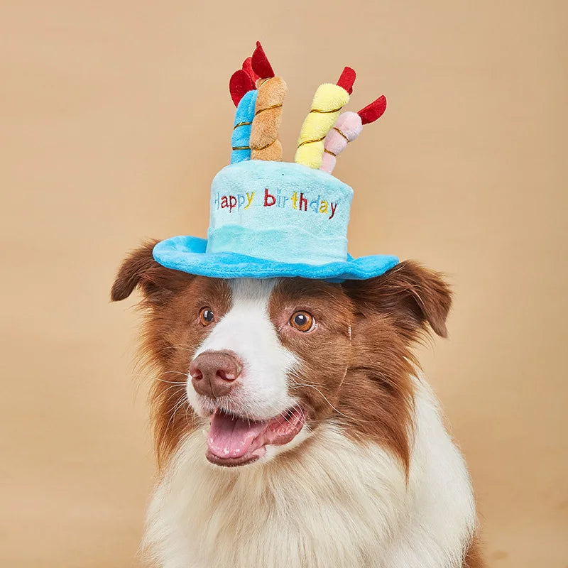 Adjustable Dog Birthday Hat