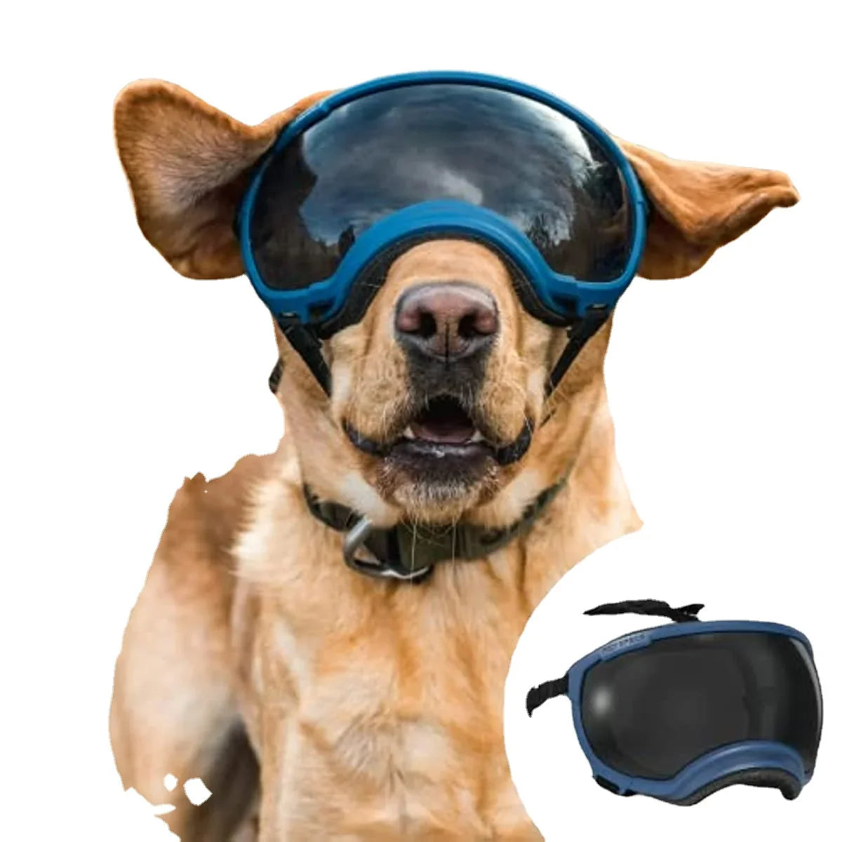 Adjustable Anti-UV Dog Goggles