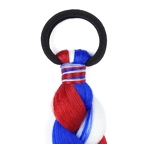 2 Pack Long Braided Ponytail Extension with Hair Tie Straight Wrap Around Hair Extensions Ponytail(6#)