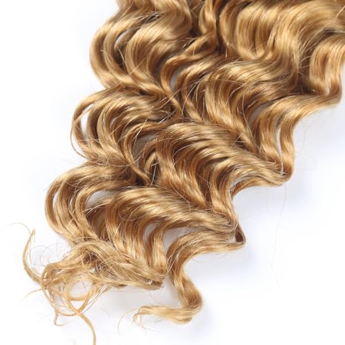 Habiliana Deep Curly Braiding Human Hair 100g 16 Inch Color 27 Honey Blonde Deep Water Wave Bulk Human Hair for Braiding No Weft Brazilian Virgin Deep Curly Human Hair Extensions for Boho Braids