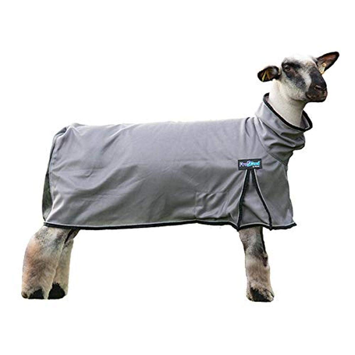 Weaver Leather unisex adult Bohemian Sheep Blanket, Gray, Extra Large US