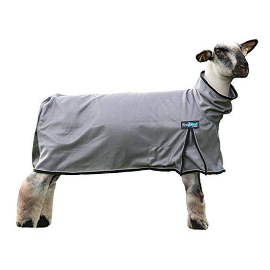 Weaver Leather unisex adult Bohemian Sheep Blanket, Gray, Extra Large US