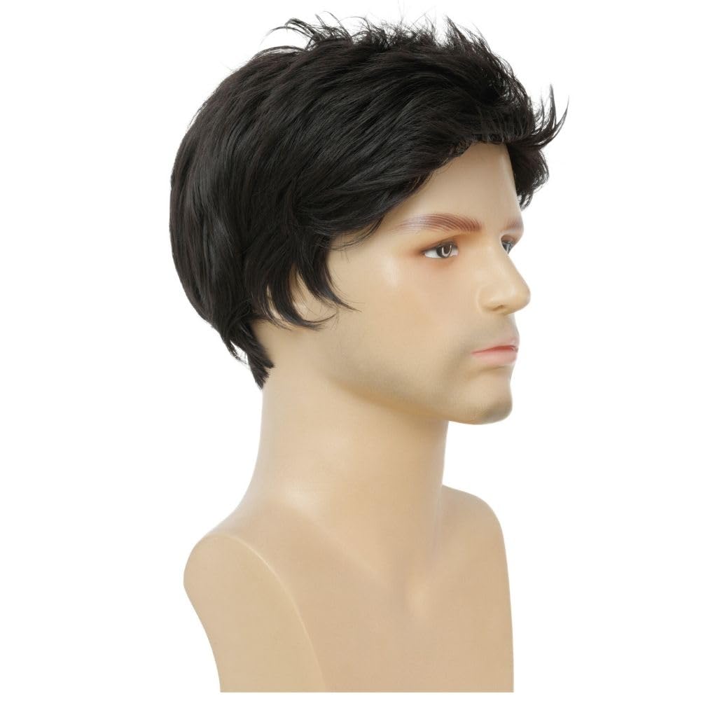 Dai Cloud Mens Black Short Wigs Natural Hair Wig Fluffy Synthetic Fibre Heat Resistant Male Wig