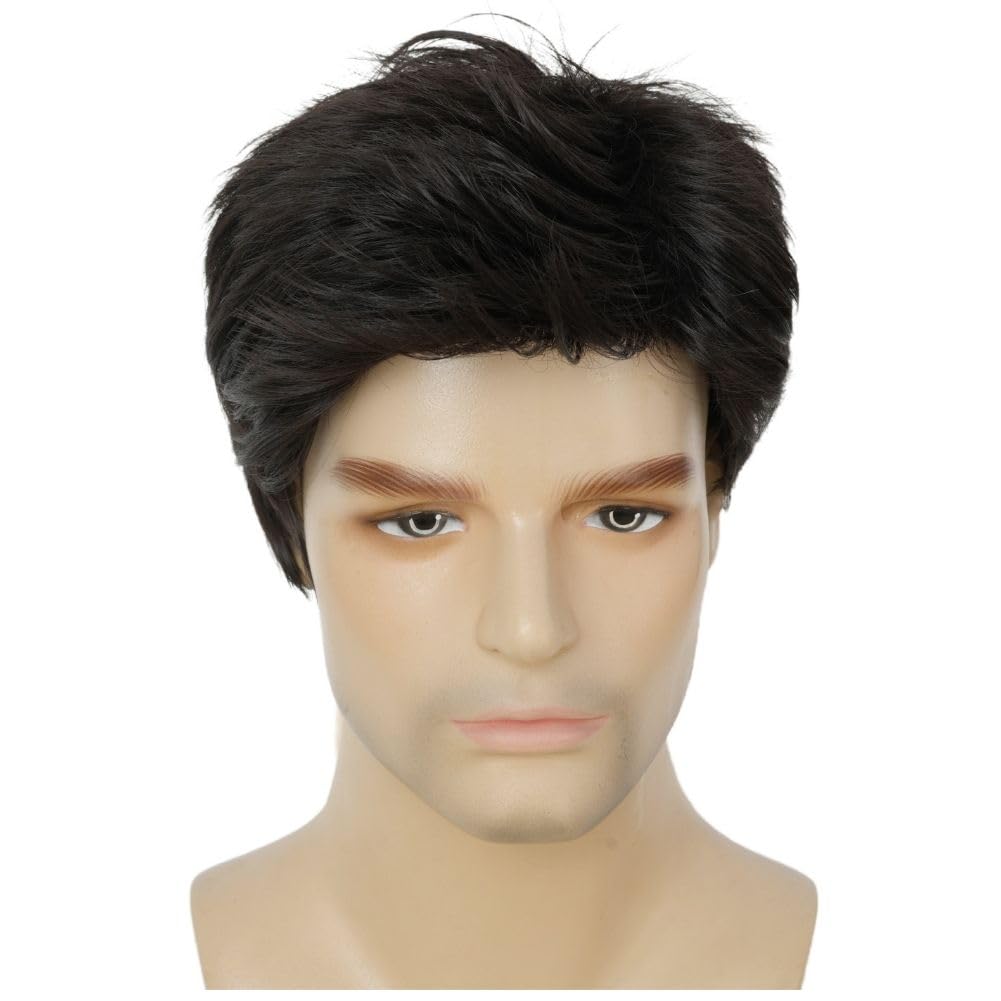 Dai Cloud Mens Black Short Wigs Natural Hair Wig Fluffy Synthetic Fibre Heat Resistant Male Wig