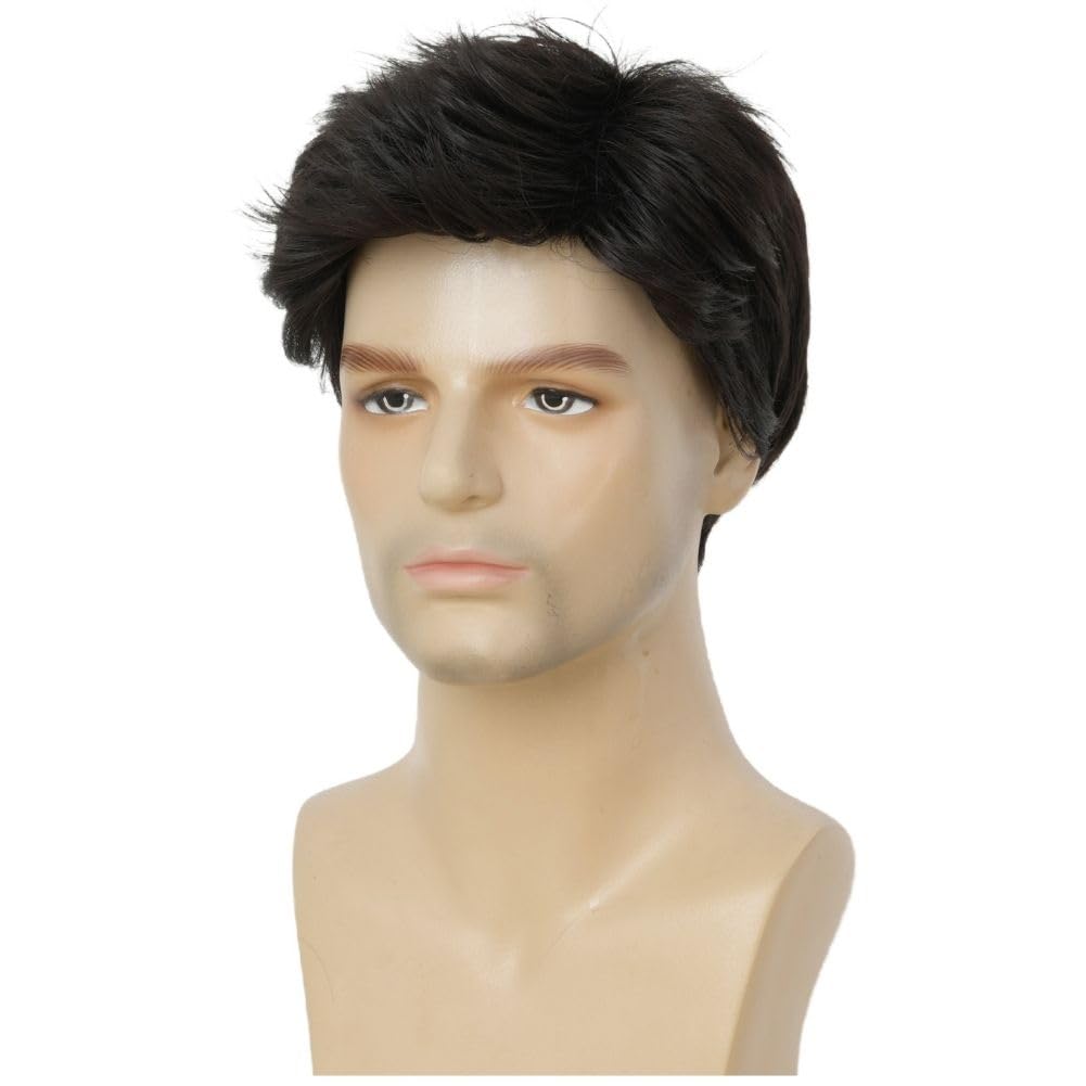 Dai Cloud Mens Black Short Wigs Natural Hair Wig Fluffy Synthetic Fibre Heat Resistant Male Wig