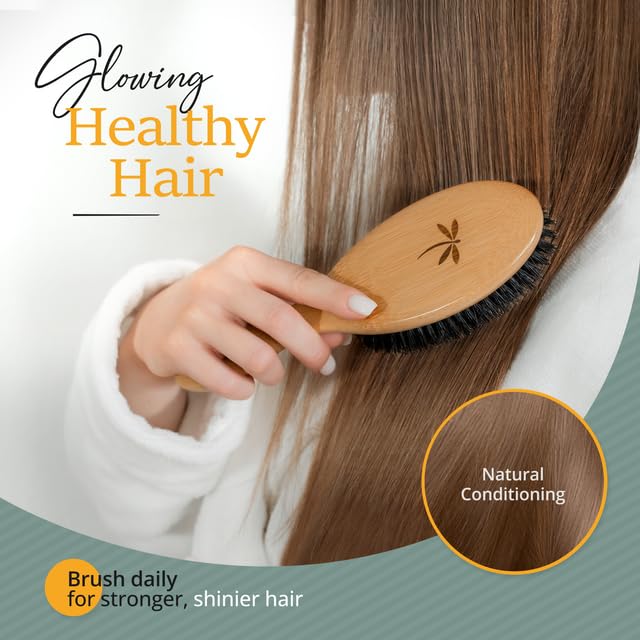 100% Boar Bristle Hair Brush for Women Set by Belula (L Size). Soft Natural Bristles for Thin and Fine Hair. Wooden Comb, Travel Bag and Spa Headband Included!