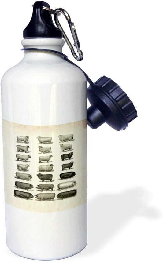 3dRose "vintage Pigs N Sheep Sports" Water Bottle, 21 oz, Natural