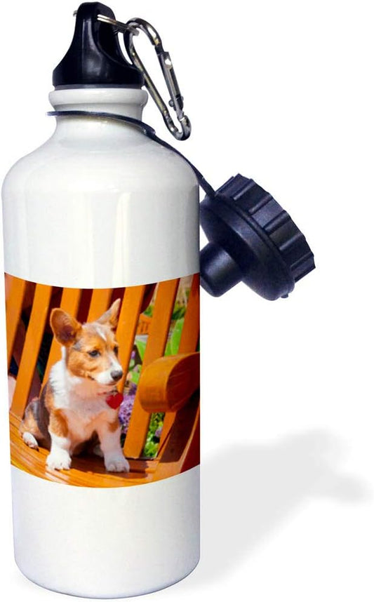3dRose Pembroke Welsh Corgi Puppy Sitting in Wooden Park Bench Sports Water Bottle, 21 oz, Multicolored