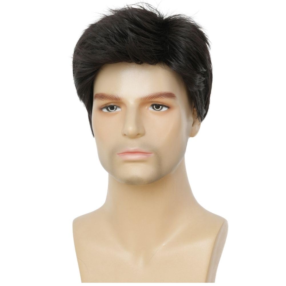 Dai Cloud Mens Black Short Wigs Natural Hair Wig Fluffy Synthetic Fibre Heat Resistant Male Wig