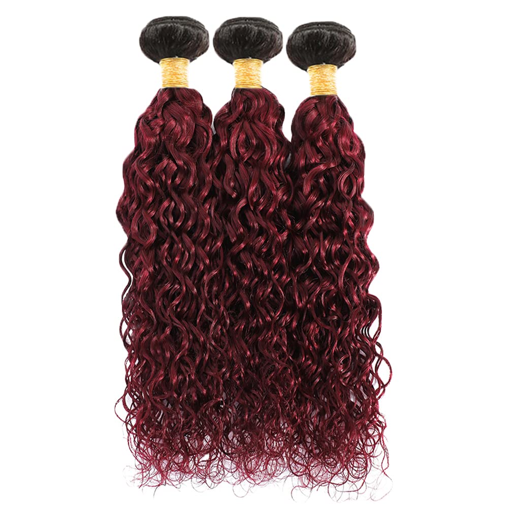 1b99j Kinky Curly Bundles Ombre Human Hair Bundles 24 24 24 inch 3 Bundles