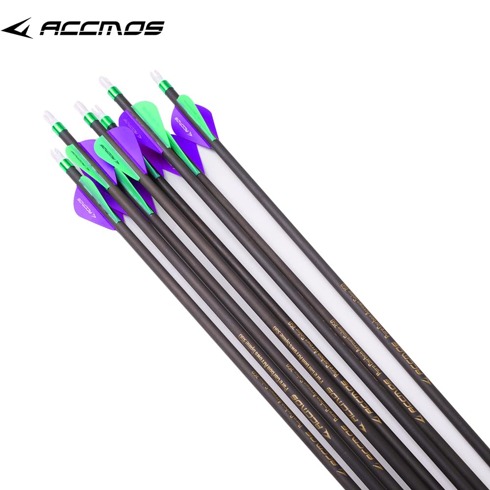 12pc 20-Inch Spine-300 Arrow Removable Tips Targeting Hunting Arrow Plastic Fletching 2 Inch Vane Carbon Arrows for Compound Bow Recurve Bow Adult Youth Archery Purple Green