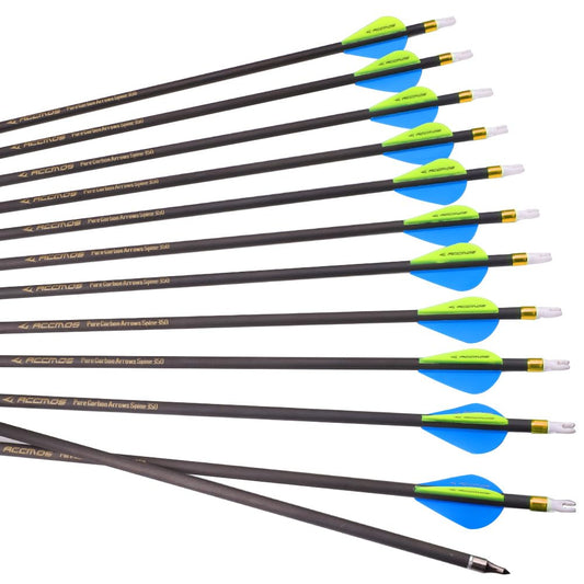 12pc 20-Inch Spine-500 Arrow Removable Tips Targeting Hunting Arrow Plastic Fletching 2 Inch Vane Carbon Arrows for Compound Bow Recurve Bow Adult Youth Archery Blue Yellow