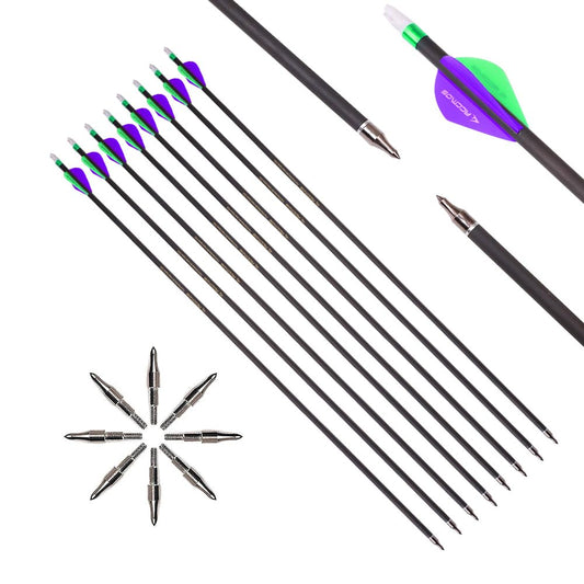 ACCMOS 6pc 20-Inch Spine-600 Arrow Removable Tips Targeting Hunting Arrow Plastic Fletching 2 Inch Vane Carbon Arrows for Compound Bow Recurve Bow Adult Youth Archery Purple Green