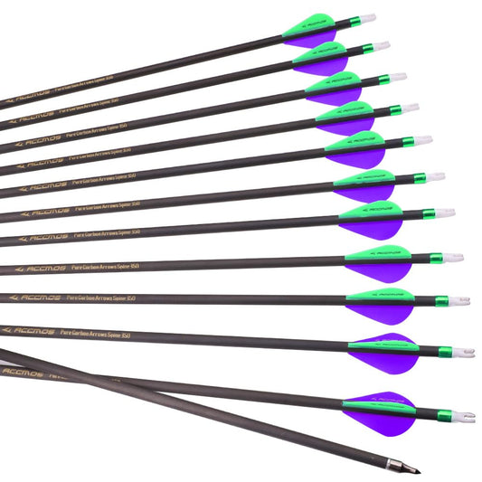 12pc 20-Inch Spine-300 Arrow Removable Tips Targeting Hunting Arrow Plastic Fletching 2 Inch Vane Carbon Arrows for Compound Bow Recurve Bow Adult Youth Archery Purple Green