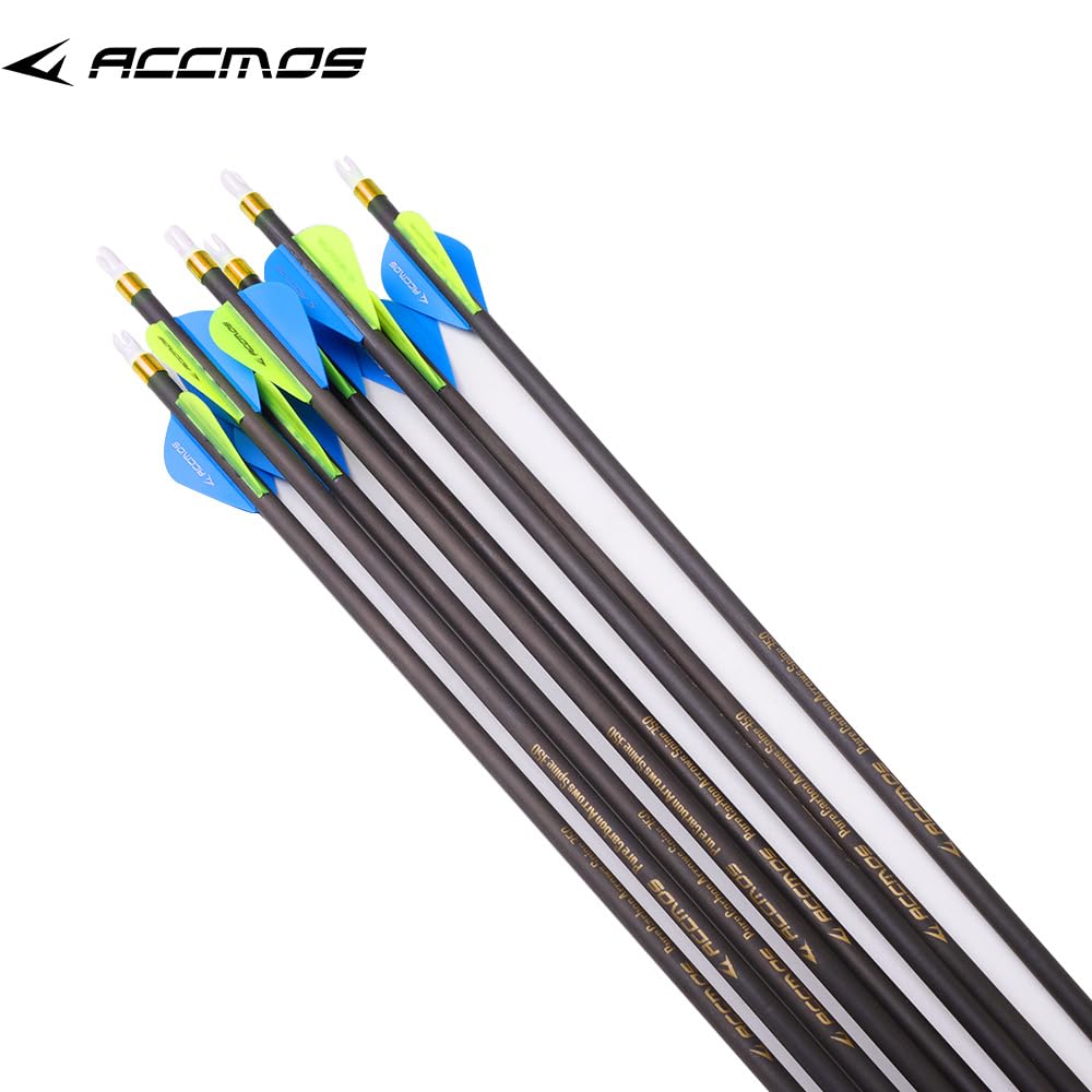 12pc 20-Inch Spine-500 Arrow Removable Tips Targeting Hunting Arrow Plastic Fletching 2 Inch Vane Carbon Arrows for Compound Bow Recurve Bow Adult Youth Archery Blue Yellow