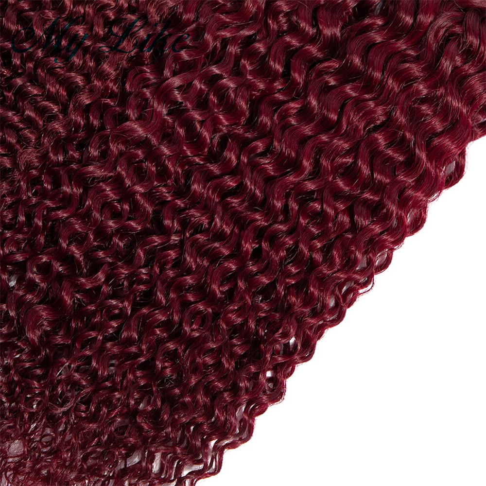 1b99j Kinky Curly Bundles Ombre Human Hair Bundles 24 24 24 inch 3 Bundles