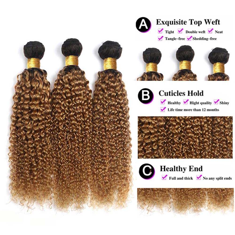 12 14 16 inch Honey Blonde Curly Wave Bundles 1B27 Ombre Bundles Honey Blonde Kinky Curly Human Hari Unprocessed Brazilian Virgin Weave Hair Bundles Blonde Kinky Curly Bundles Human Hair