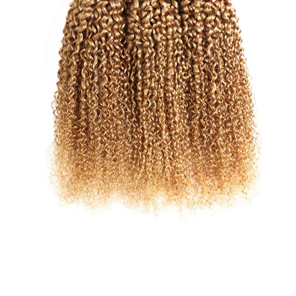 12 14 16 inch Honey Blonde Curly Wave Bundles 1B27 Ombre Bundles Honey Blonde Kinky Curly Human Hari Unprocessed Brazilian Virgin Weave Hair Bundles Blonde Kinky Curly Bundles Human Hair