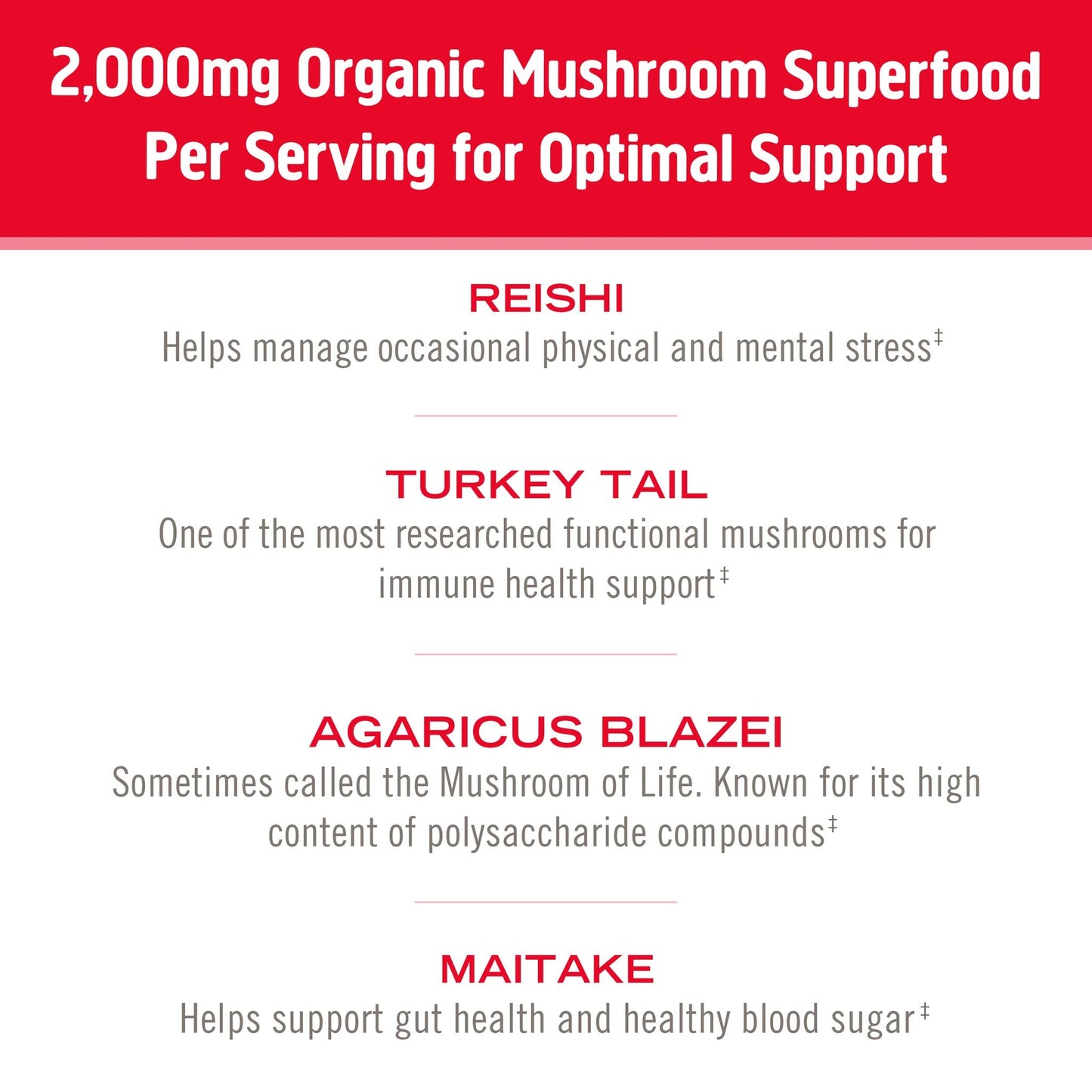 Om Organic Mushroom Superfood Powder, Immune, (100 Servings), Reishi & Turkey Tail, Immune Support Supplement, 7.05 Ounce (Pack of 1)