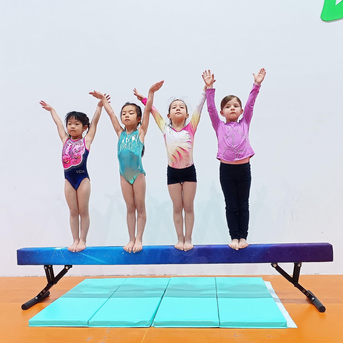 Seliyoo Adjustable Balance Beam,8FT gymnasitcs Beam, Balance Beam for Kids Ages 3-20,high and Lower Floor Beam,Gym Equipment for All Skills Practice at Home