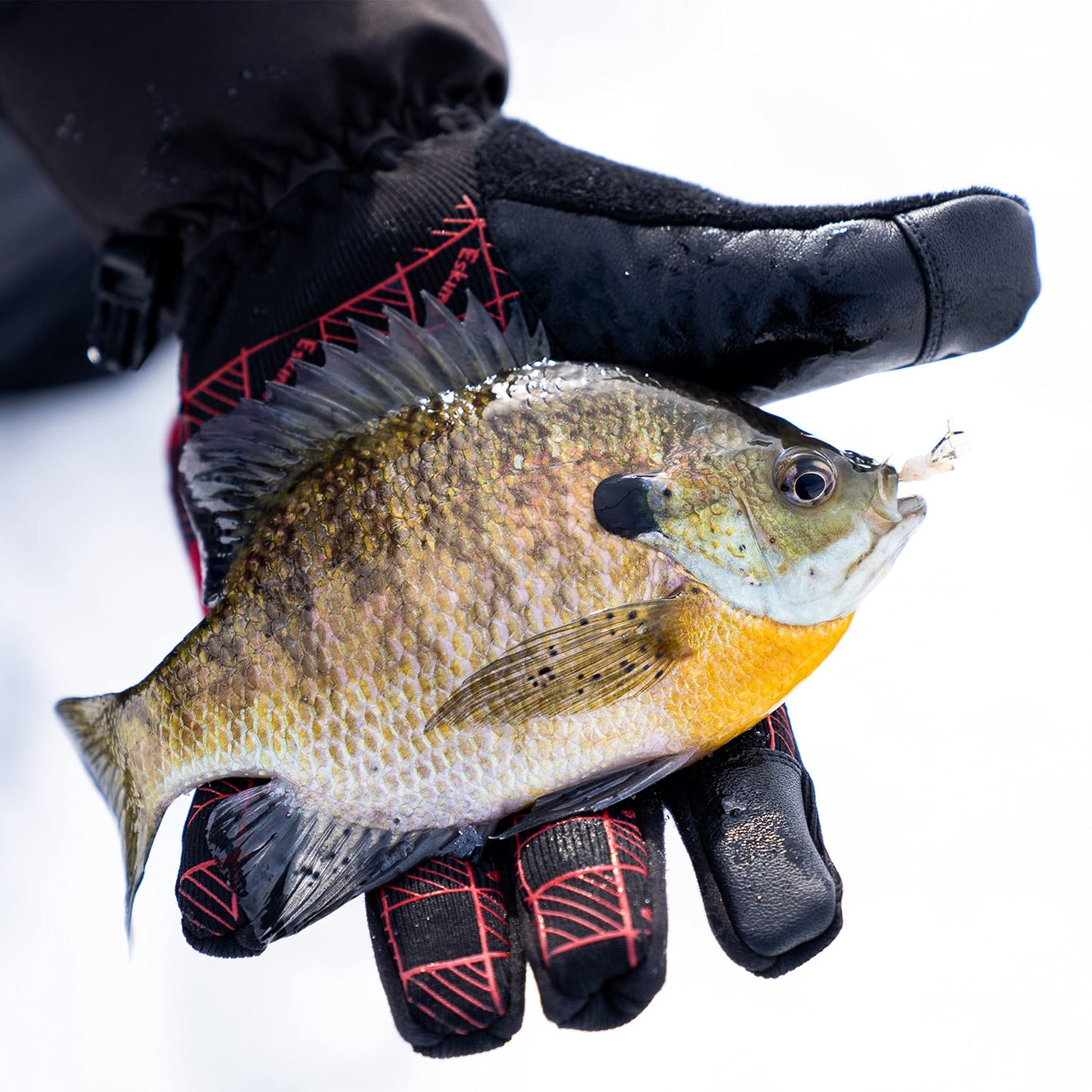 Eskimo Lockout™ Flex Glove, Gloves, Unisex, Black Ice, M/L