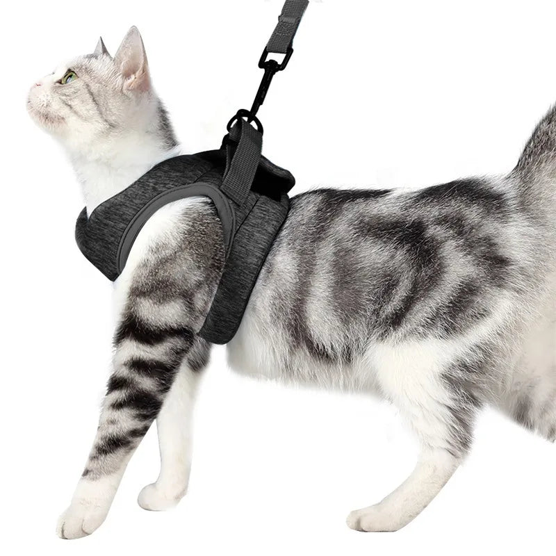 Adjustable Anti-Escape Cat Harness