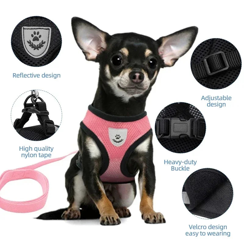 Adjustable Mesh Dog Harness Leash Set