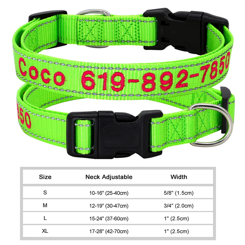 Adjustable Nylon Dog Collar with ID