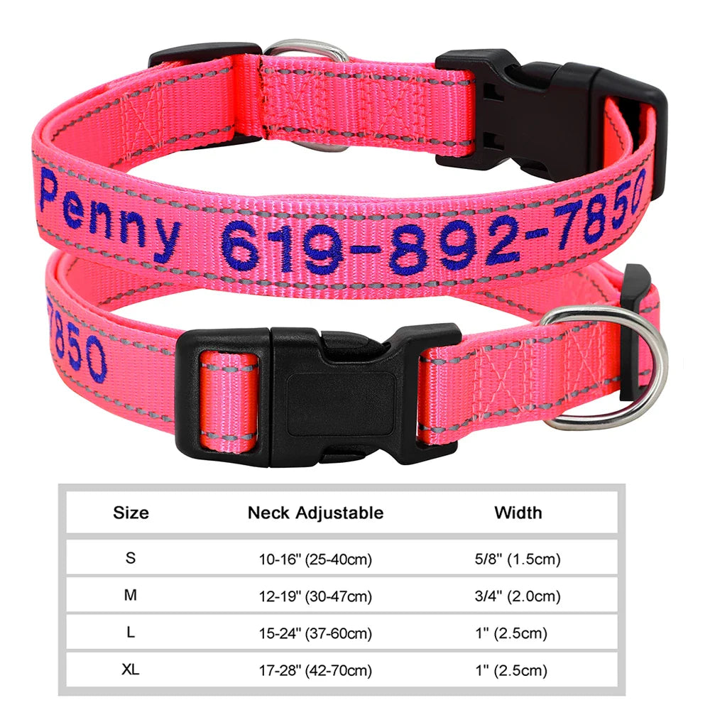 Adjustable Nylon Dog Collar with ID
