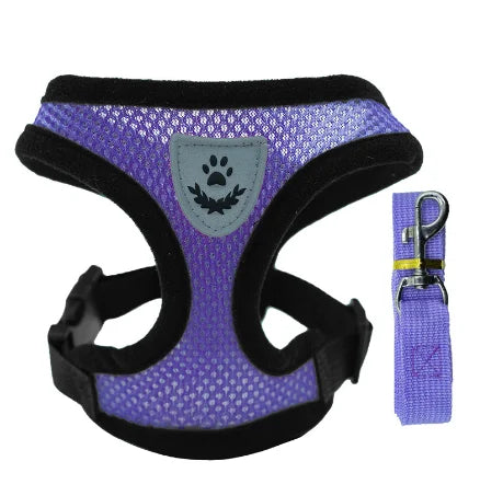 Adjustable Mesh Dog Harness Leash Set