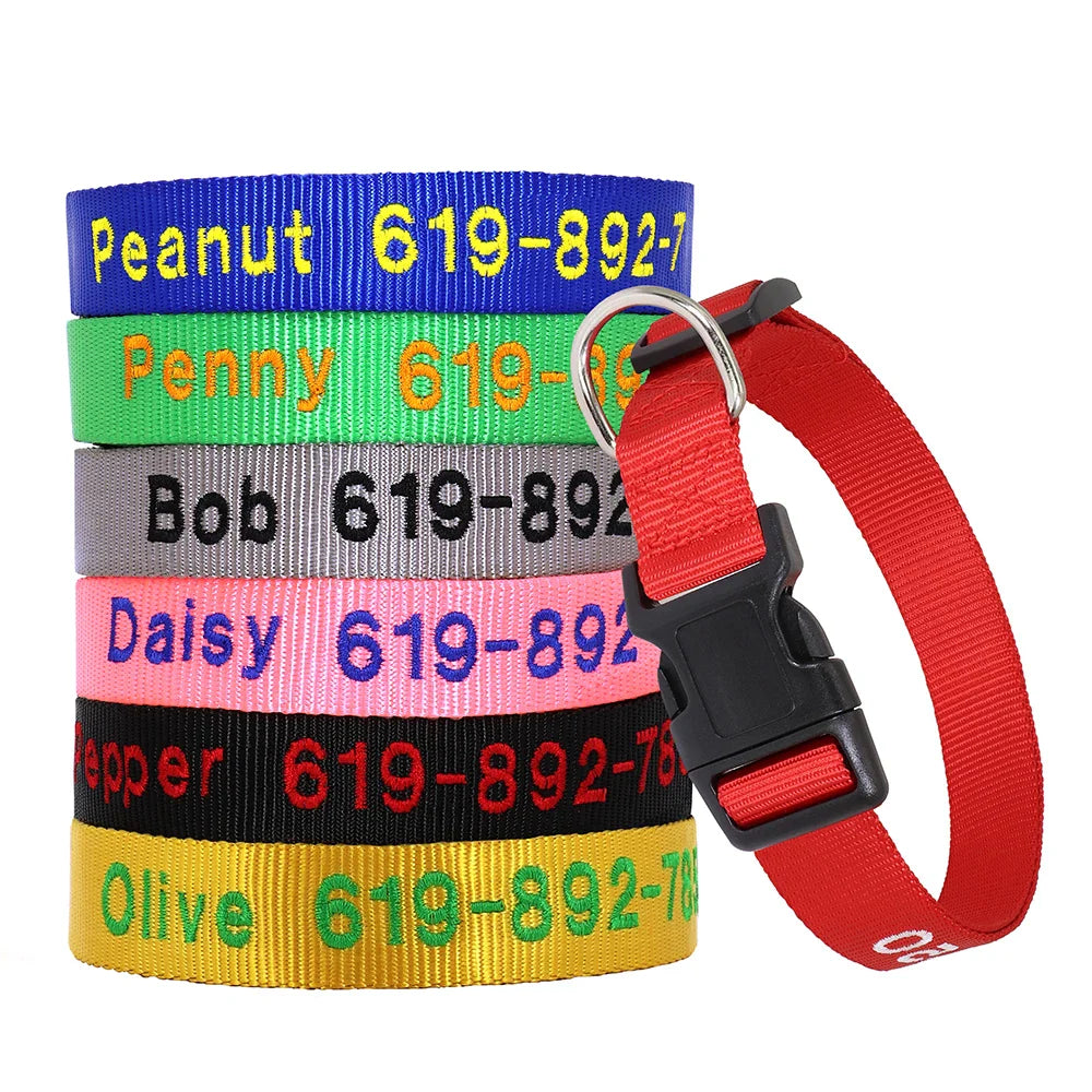 Adjustable Nylon Dog Collar with ID